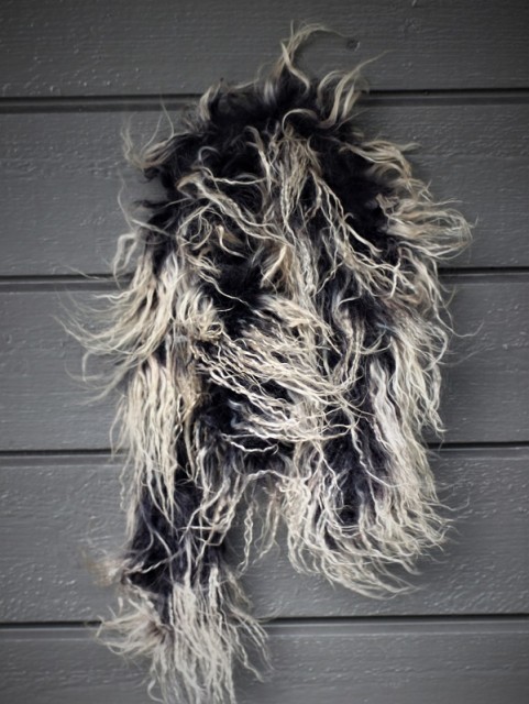 Black with light tips